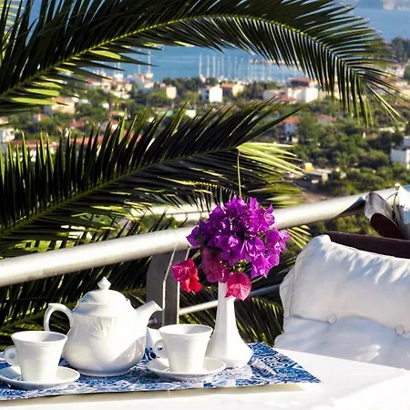 Vigles Sea View, Philian And 2* Kalivia (Skiathos)